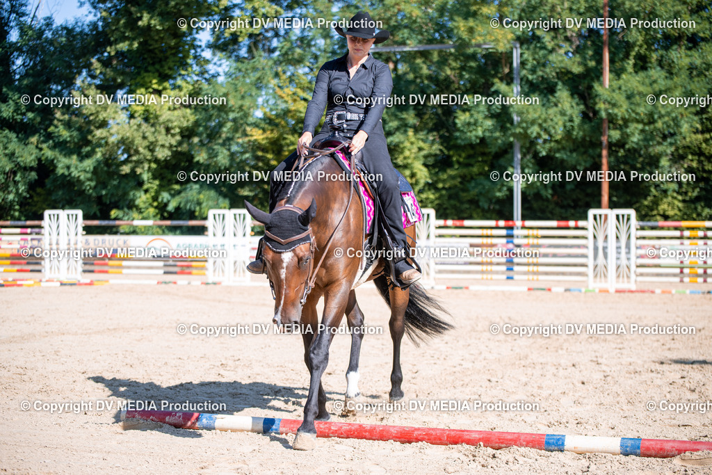 ZS1_0804 | dv-media-shop - Realisiert mit Pictrs.com