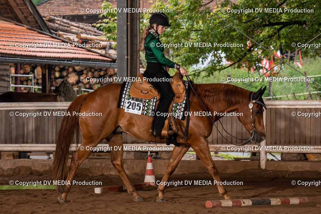 Erbach Tag 3-340 | dv-media-shop - Realisiert mit Pictrs.com