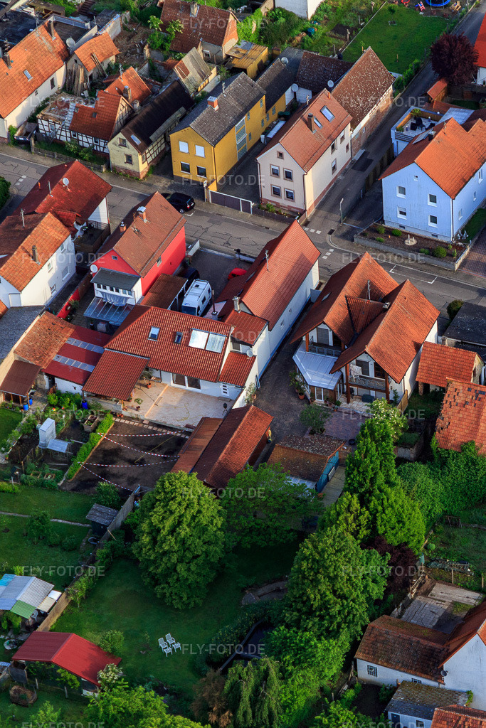 Luftbild: Gänsried in Freckenfeld im Bundesland Rheinland-Pfalz in Deutschland. Foto: IMG_114058.jpg vom 23.05.2019 durch Werner Riehm/FLY-FOTO.de