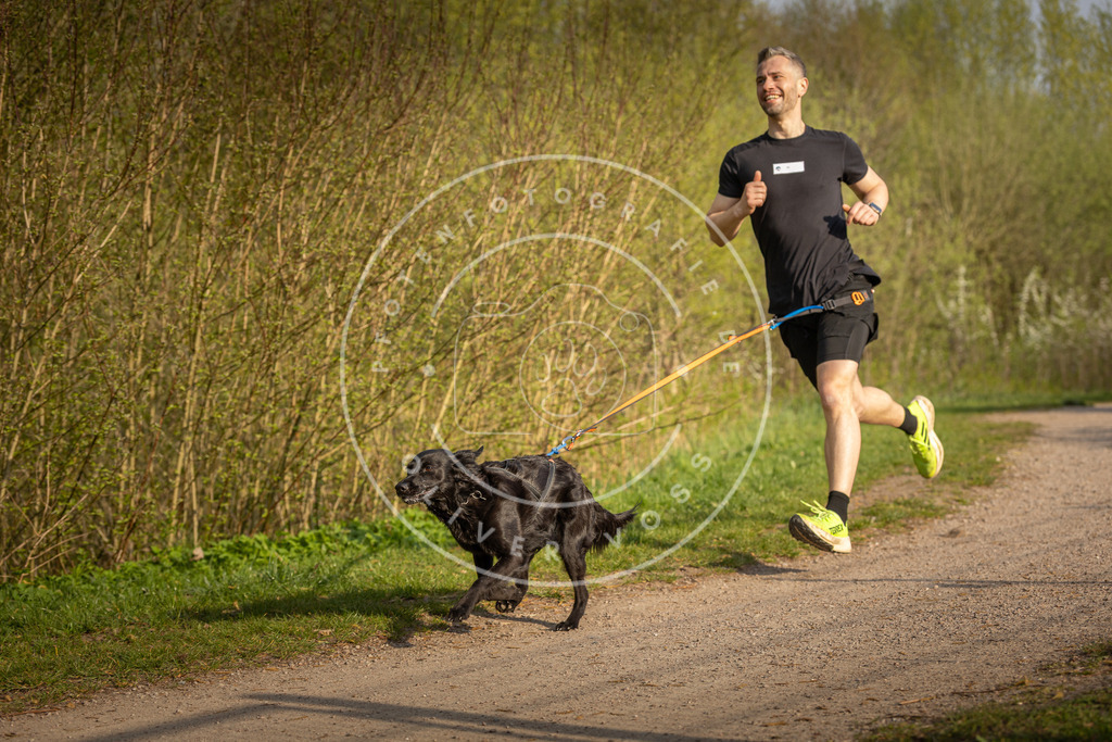 Pfotenfotografie_DV3A4527 | Hundefotografie, Tierfotograf, Pfotenfotografie, Fotoshooting Hund, Hunde Portrait, Hundesport, Hundeportraits, Heideshooting, Hunde, Sportfotograf, Hundefotograf, Turnierhundsport, THS,  - Realisiert mit Pictrs.com