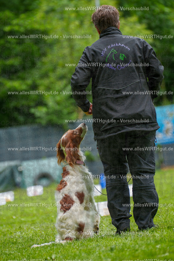 @allesWIRTHgut_Tierfotografie - www.allesWIRTHgut.de - 131509-7R509960 | Professionelle Tierfotografie in Mönchengladbach von Daniel Wirth (allesWIRTHgut). Liebevolle & natürliche Bilder von Hunden & Katzen für unvergessliche Erinnerungen.