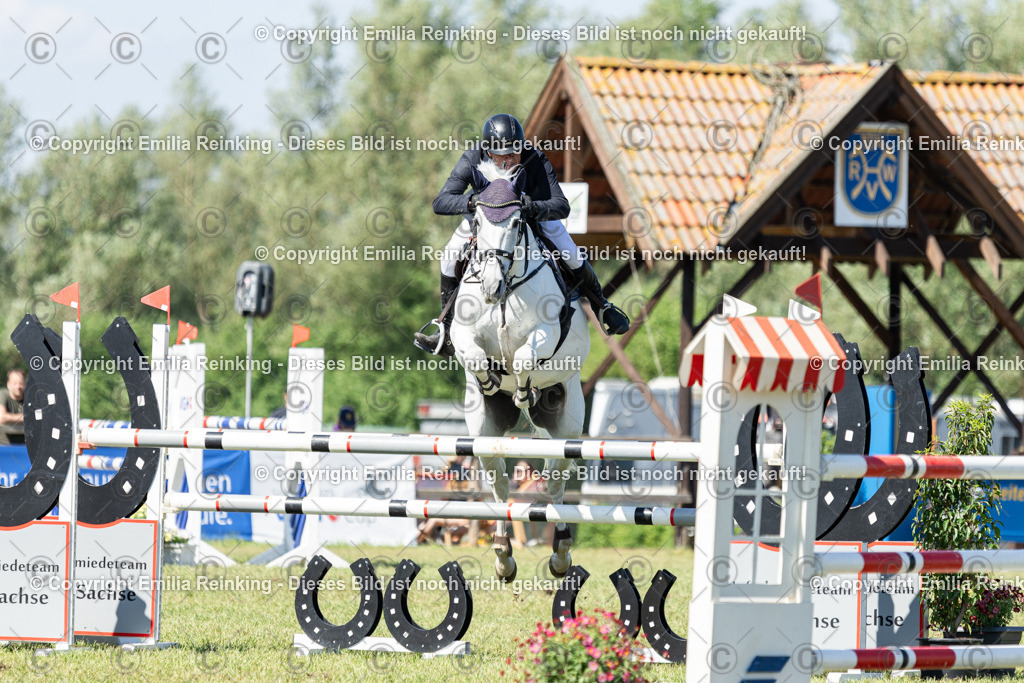 CL5A7636 | Emilia Reinking Fotografie - Realisiert mit Pictrs.com