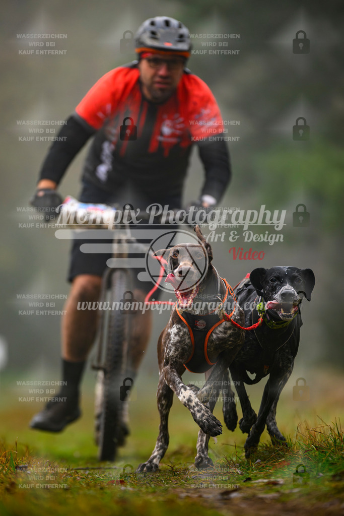 MompixPhotography_Bischwiller2025_Scooter-3 | mompixphotography