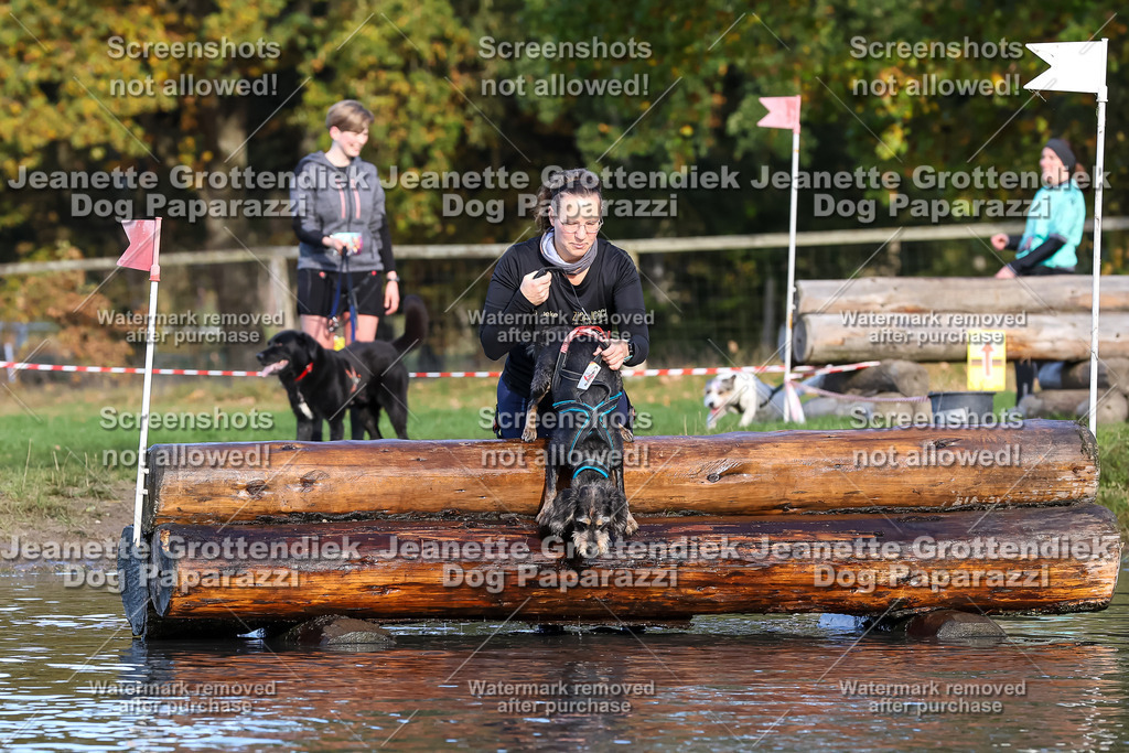 Dog Paparazzi - Strongdog 10-25-8602 | Dog Paparazzi Jeanette Grottendiek Fotografie & Videografie - Realisiert mit Pictrs.com