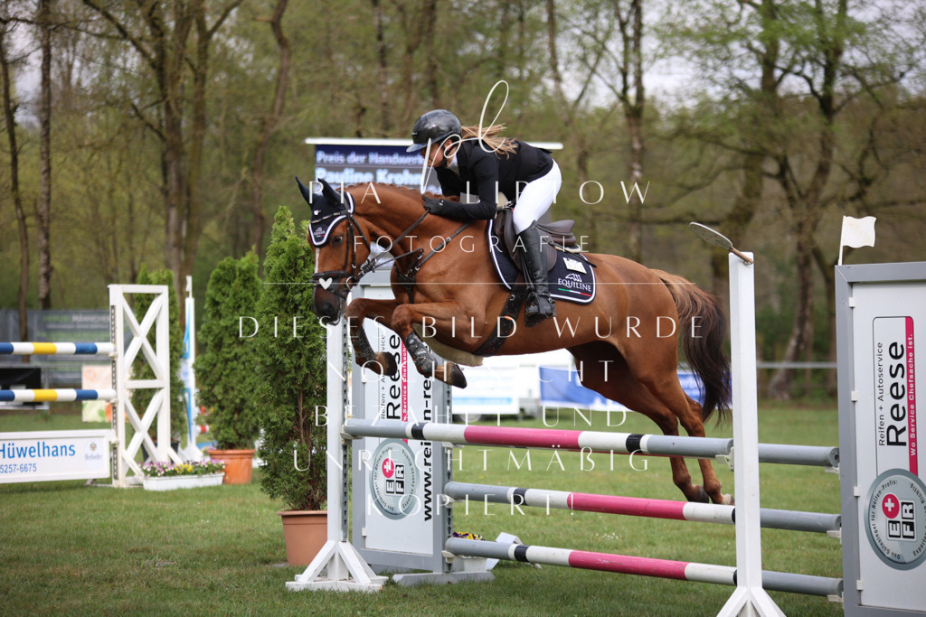 IMGT2760 | pl-fotografie