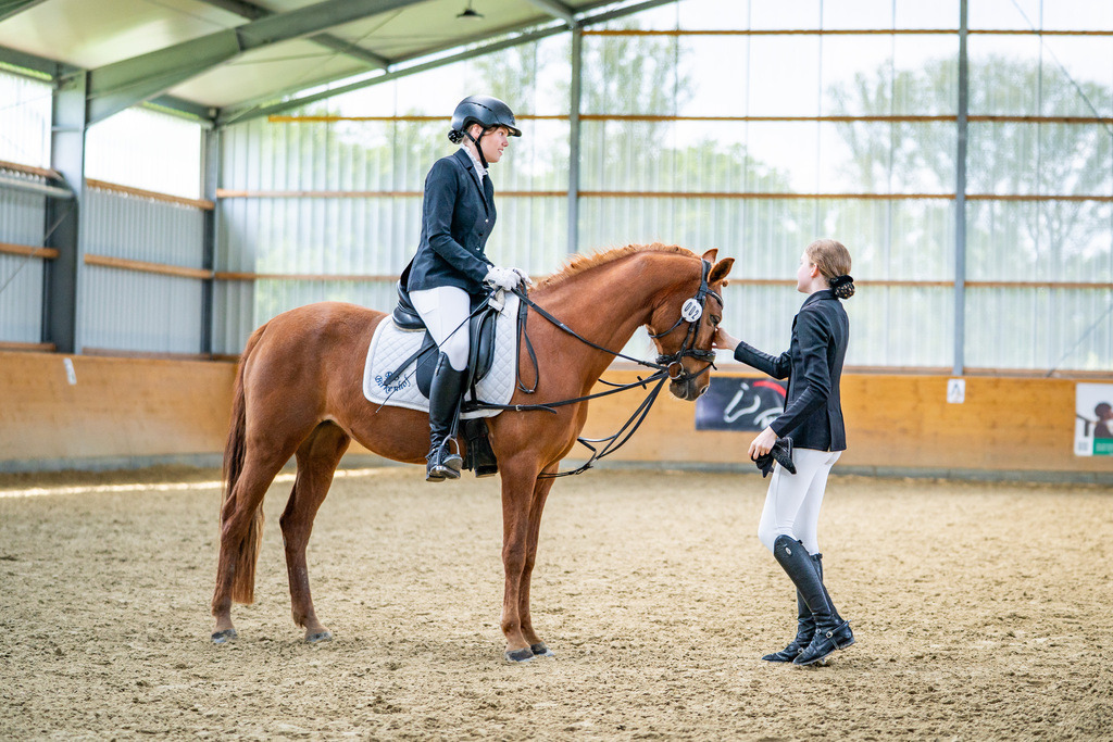 DSC03910 | Pferdegrafie