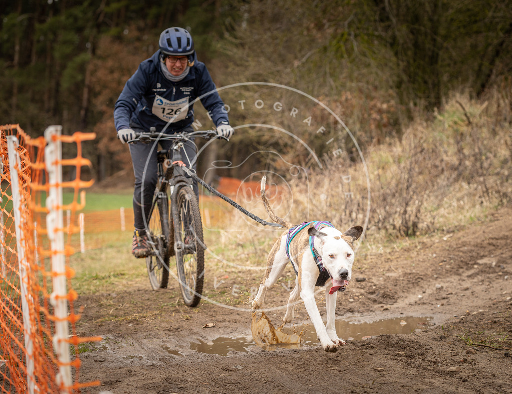 DV3A1676 | Hundefotografie, Tierfotograf, Pfotenfotografie, Fotoshooting Hund, Hunde Portrait, Hundesport, Hundeportraits, Heideshooting, Hunde, Sportfotograf, Hundefotograf, Turnierhundsport, THS,  - Realisiert mit Pictrs.com