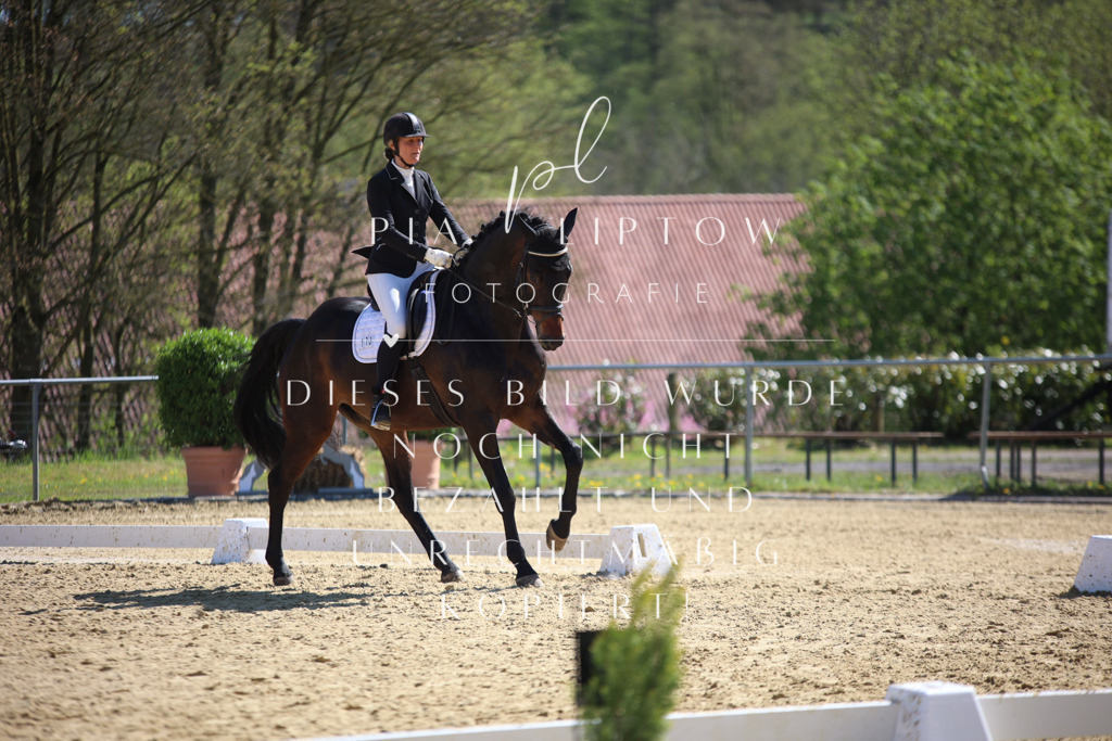 IMGT8142 | pl-fotografie