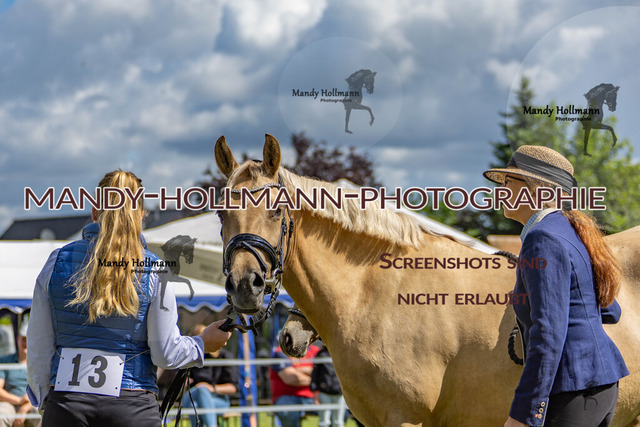 IG WELSH VM 2024-316 | mandyhollmannphotographie