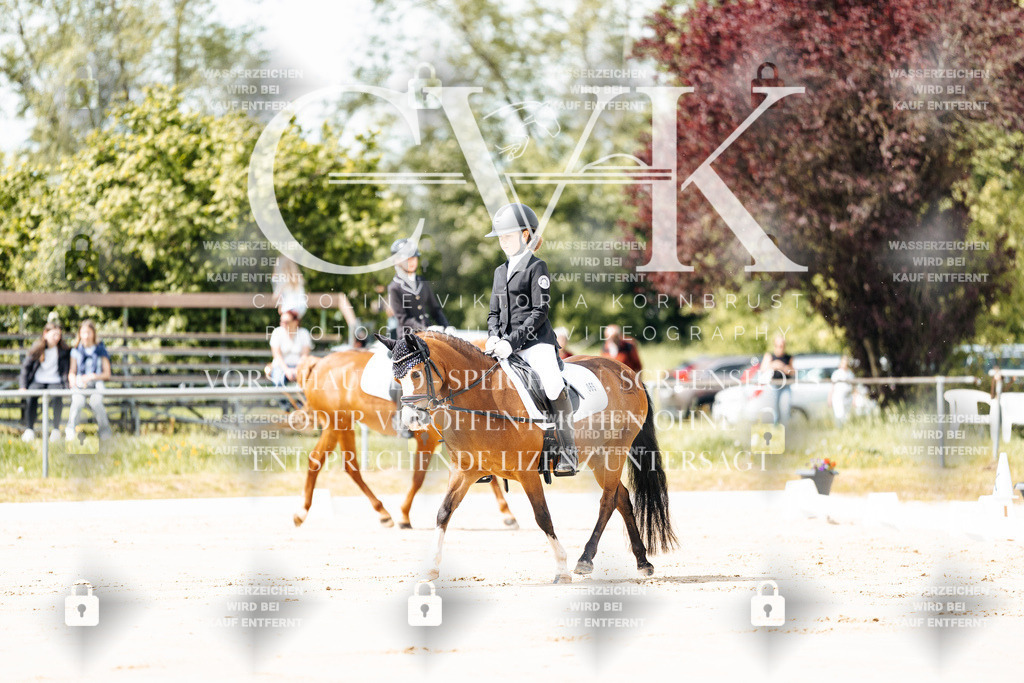 CK901661 | Turnierfotografie Pferdefotografie Trier Rheinland-Pfalz Pferdesport Reitsport Tierfotografie Sportfotografie Pferdevideo Pferdevideografie Equestrianvideography equestrianphotography  - Realisiert mit Pictrs.com