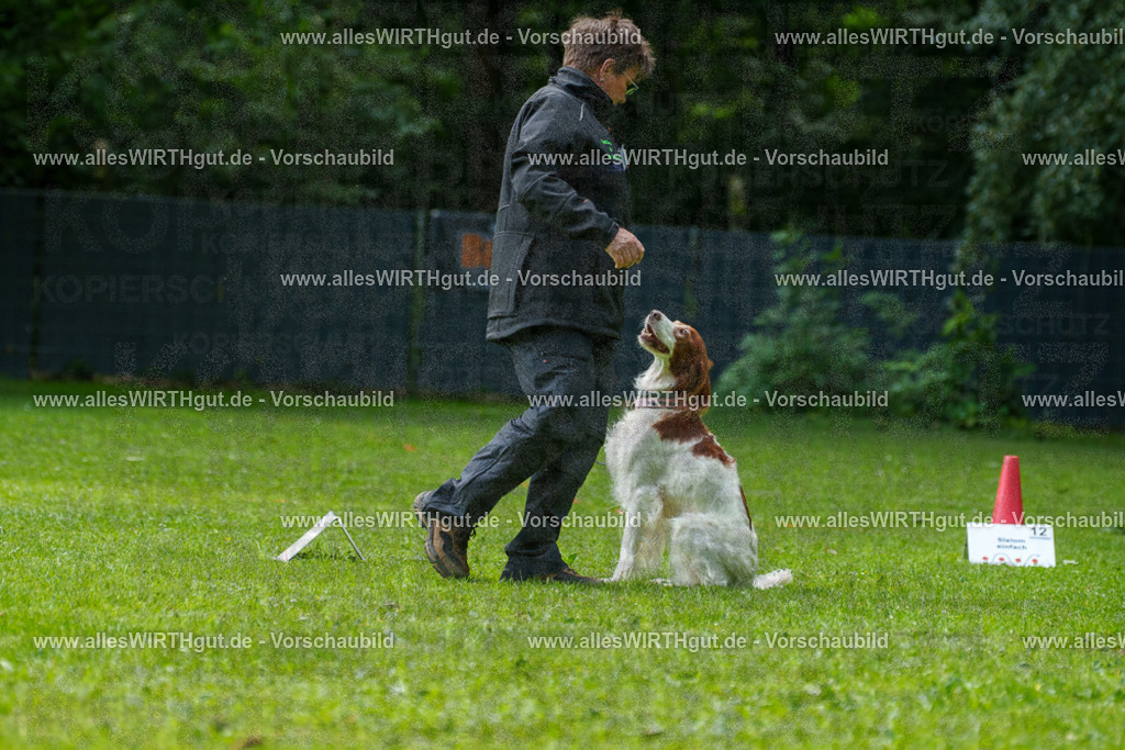 @allesWIRTHgut_Tierfotografie - www.allesWIRTHgut.de - 7R505810 | Professionelle Tierfotografie in Mönchengladbach von Daniel Wirth (allesWIRTHgut). Liebevolle & natürliche Bilder von Hunden & Katzen für unvergessliche Erinnerungen.