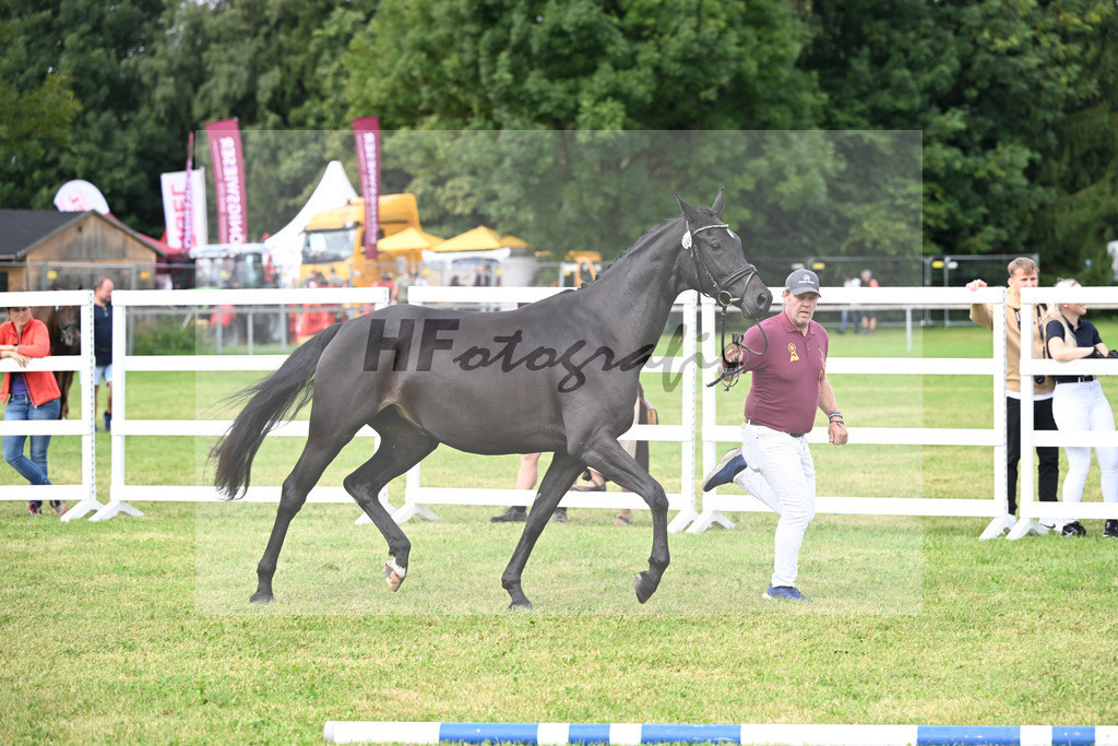 Kat-Nr. 26 Hippy Girl H.S. v. Bon Joker_Sommer_30250597 | hf-fotografie - Realisiert mit Pictrs.com