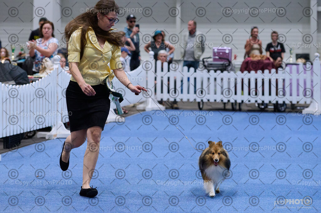 202406_ÖKV-IHA-Tulln24_DSC_3808 | proPHOTO - Realisiert mit Pictrs.com