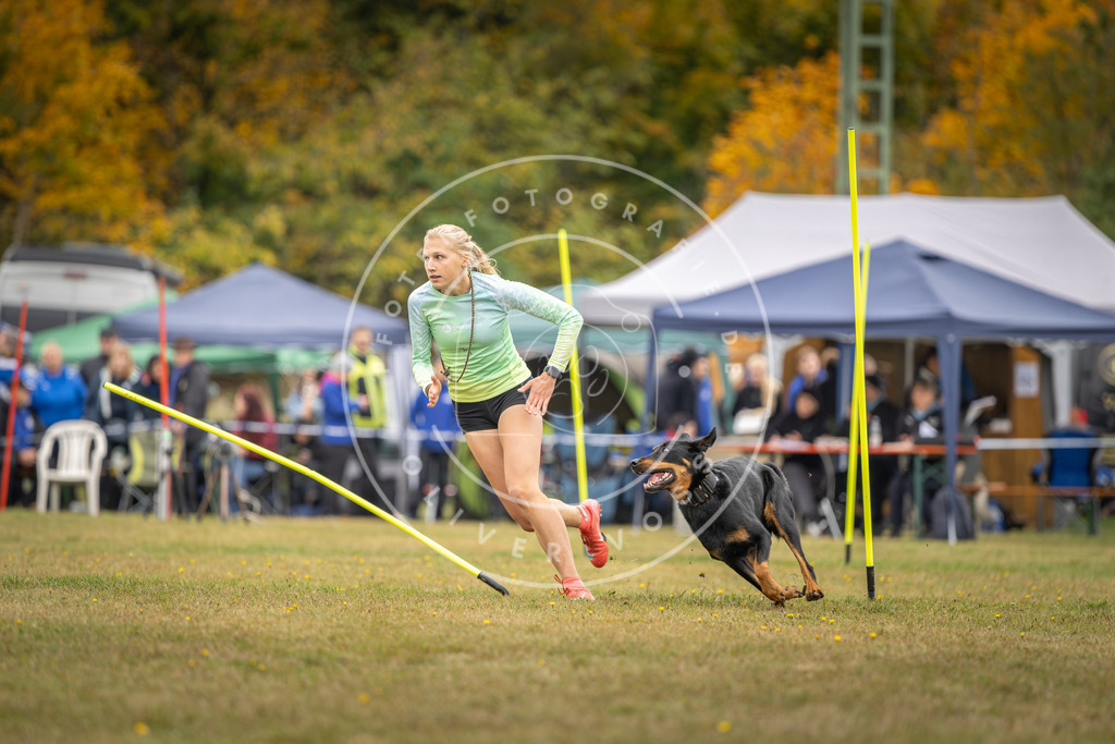 Pfotenfotografie_DV3A4150 | Hundefotografie, Tierfotograf, Pfotenfotografie, Fotoshooting Hund, Hunde Portrait, Hundesport, Hundeportraits, Heideshooting, Hunde, Sportfotograf, Hundefotograf, Turnierhundsport, THS,  - Realisiert mit Pictrs.com