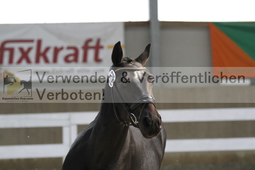 _MG_9532 | equestrian-live-com