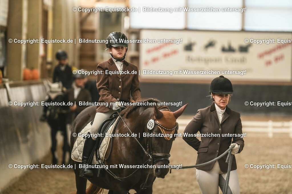 20231029_Führzügel-WB_Abteilung-02_0008 | Foto: Thomas Hartig