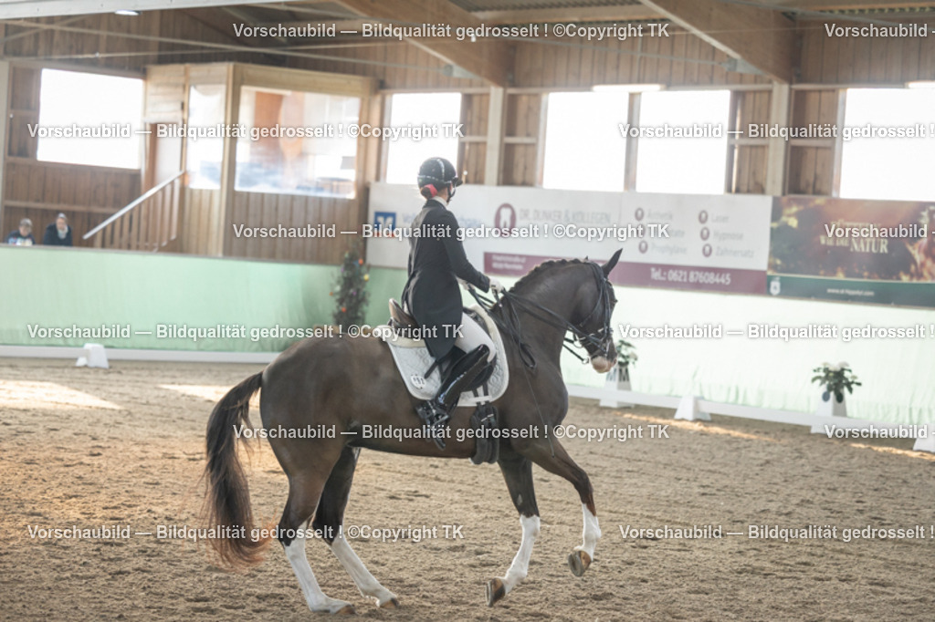 _D5A7858 | Emotionale Pferde- & People-Fotografie rund um Heidelberg, Leimen & Umgebung. Natürliche Fotos von Pferd, Mensch & Familie. Jetzt Termin sichern!