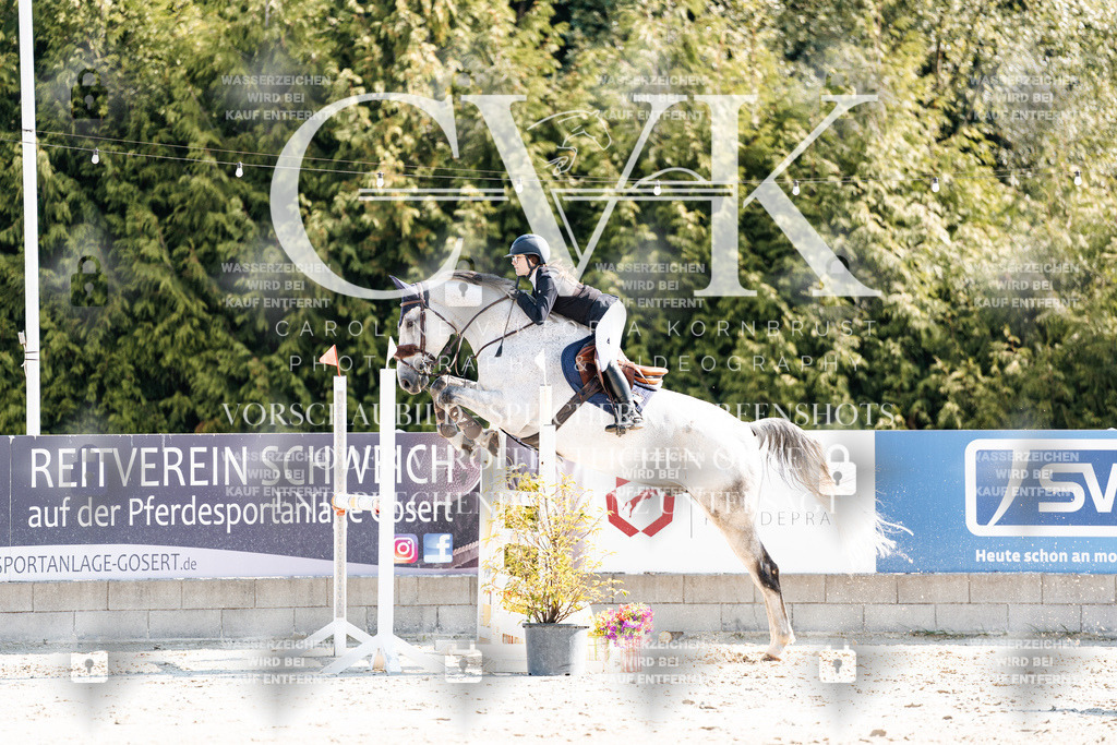 CK902613 | Turnierfotografie Pferdefotografie Trier Rheinland-Pfalz Pferdesport Reitsport Tierfotografie Sportfotografie Pferdevideo Pferdevideografie Equestrianvideography equestrianphotography  - Realisiert mit Pictrs.com