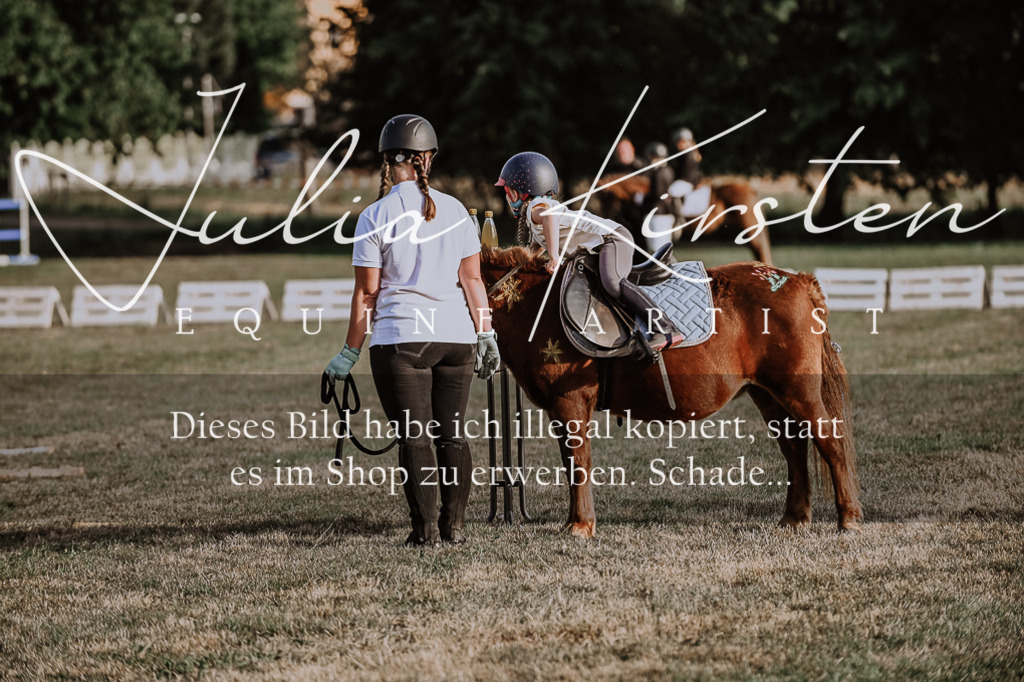 DSC_0144 | Pferde- und Turnierfotografie in Westsachsen. Pferdeportraits, Auftragszeichnungen und intuitive Kunst.