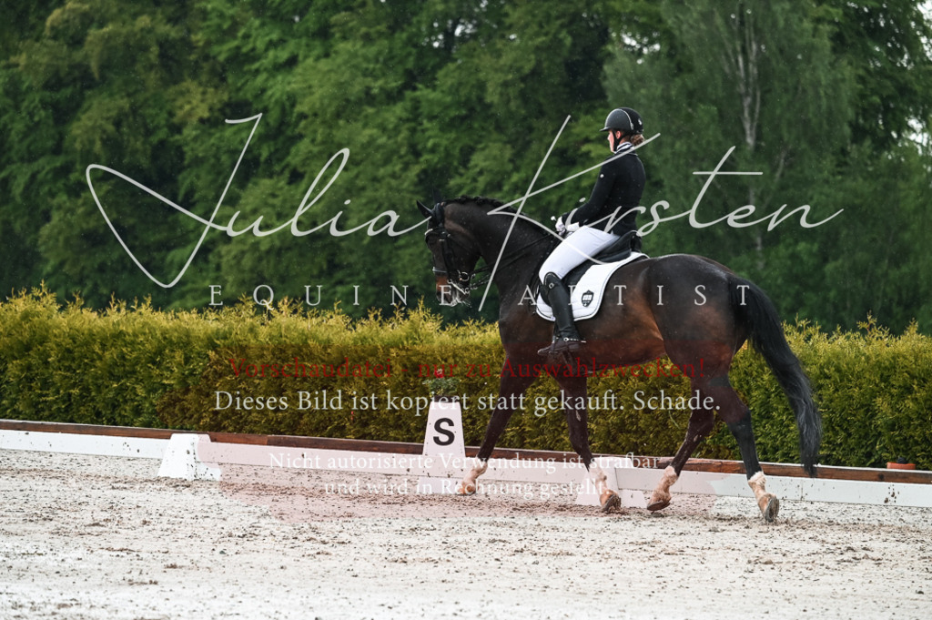 DSC_4333 | Pferde- und Turnierfotografie in Westsachsen. Pferdeportraits, Auftragszeichnungen und intuitive Kunst.