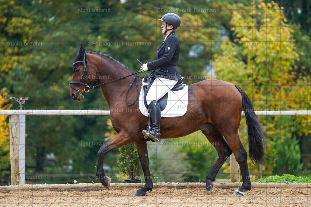 20221008-FAH01542 | Diessen am Ammersee, 2022, Dressur- und Springturnier, Reitsportbilder, Turnierfotografen Bayern, Pferdefotografen, Fotoagentur Herrmann, Turnierbilder