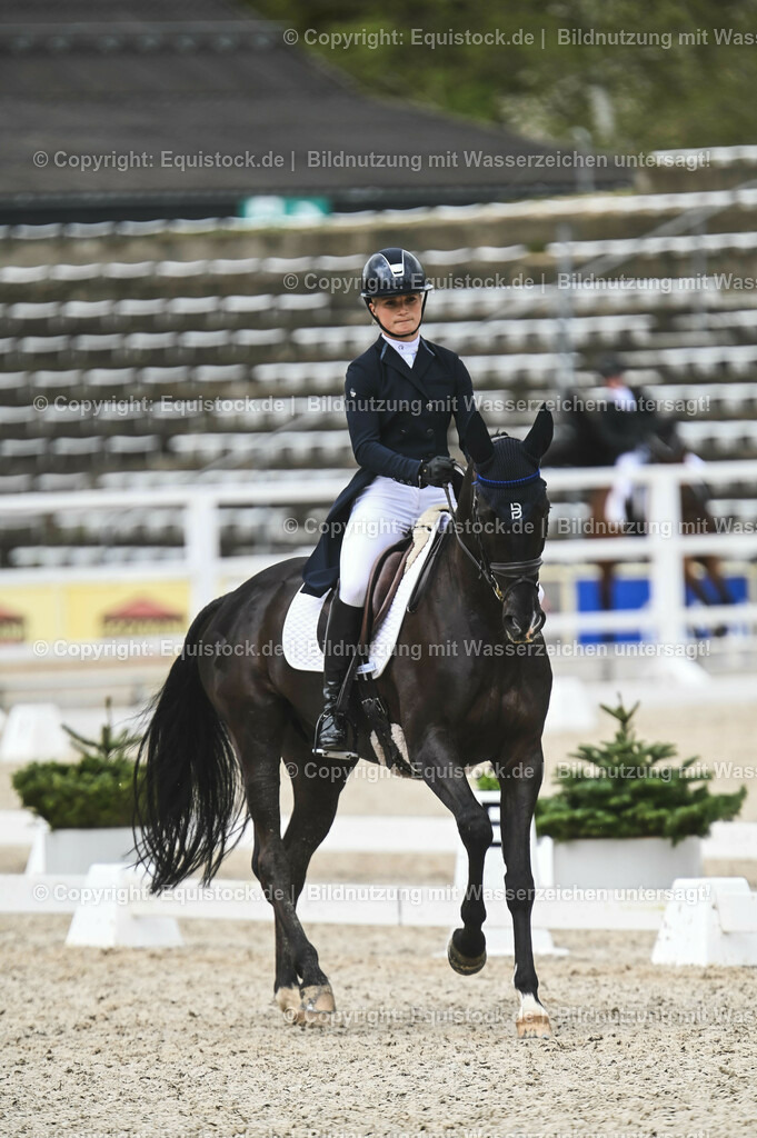 20230512_CCI4_Dressur_0168 | equistock