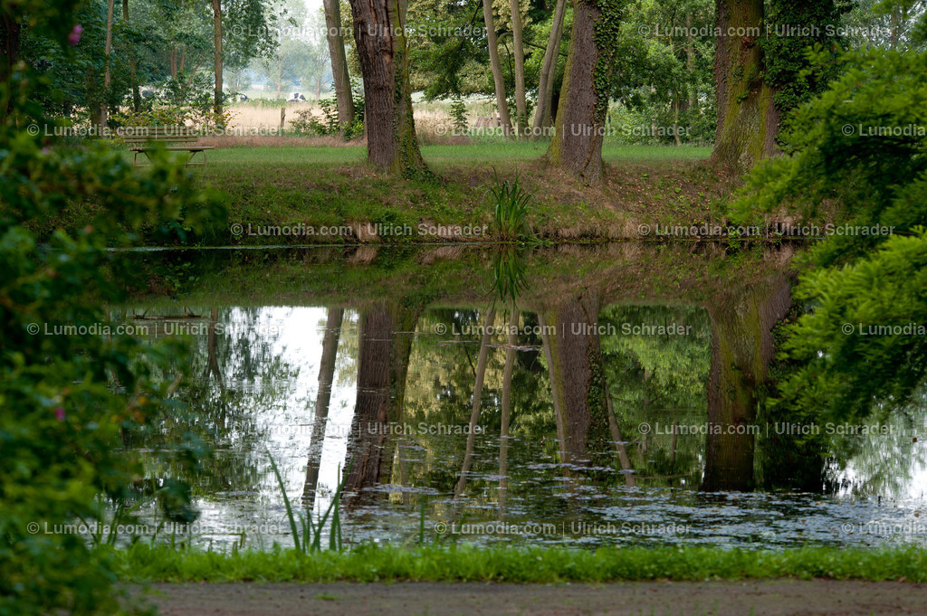 100494-4260 - Schlosspark Krumke | Stockfoto und Bilderpool mit Bildmaterial aus Deutschland, dem Harz, Halberstadt, Quedlinburg, Wernigerode und weltweit. Qualitativ hochwertige und professionelle Fotos anschauen und kaufen. - Realisiert mit Pictrs.com