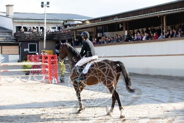 2B4A3773 | pixelfaenger - Realisiert mit Pictrs.com