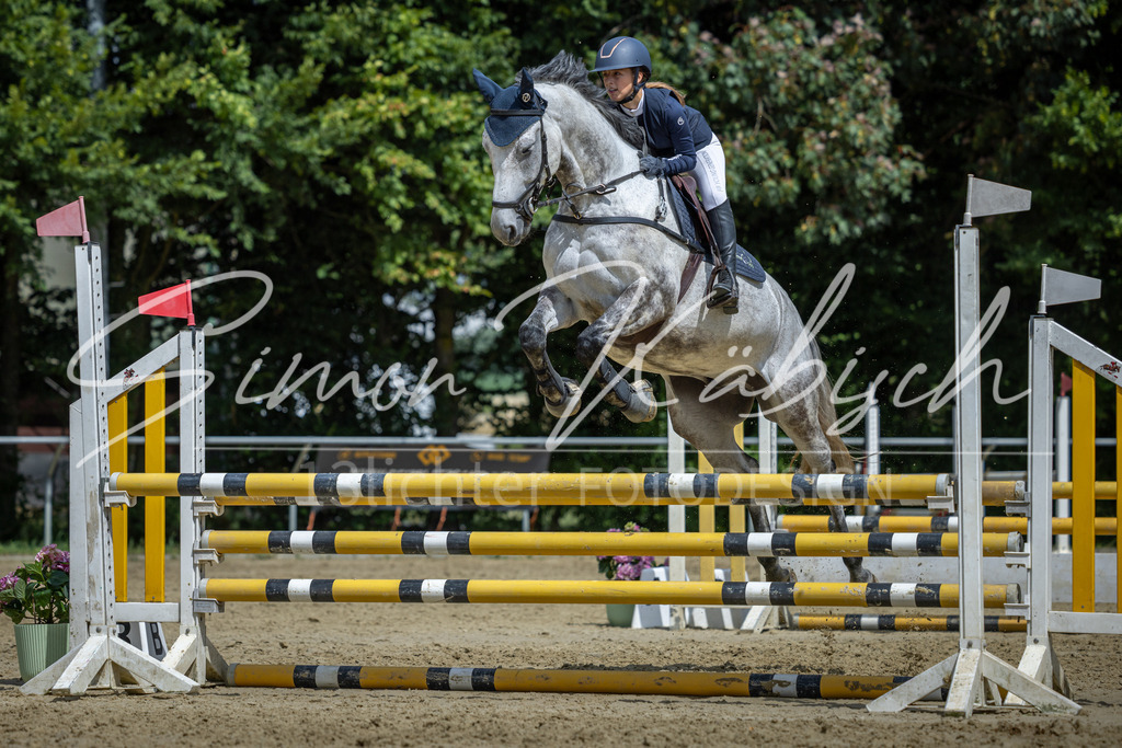 20260704-_3LI0537 | Tierfotografie Pferde, Hunde, Katzen, Haustiere.
Turnierfotografie Reitturniere, Reiten, Springreiten, Dressur in Hanau, dem Main-Kinzig-Kreis und dem Rhein-Main- Gebiet um Frankfurt