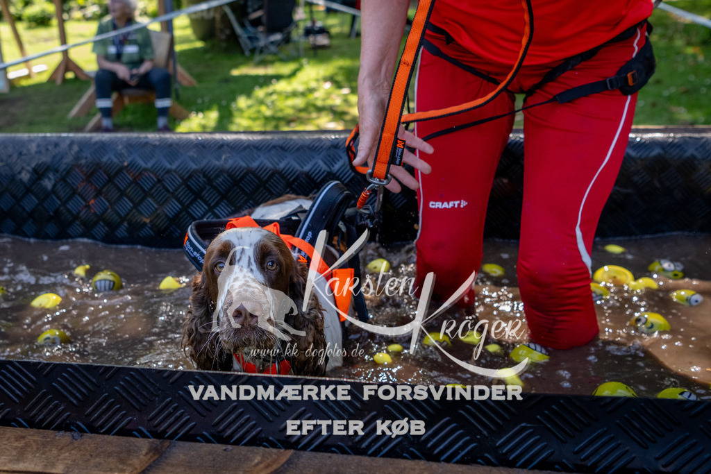 1510_ZZ90482 | kk-dogfotos