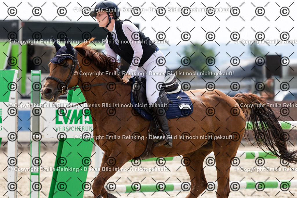 CL5A4004 | Emilia Reinking Fotografie - Realisiert mit Pictrs.com