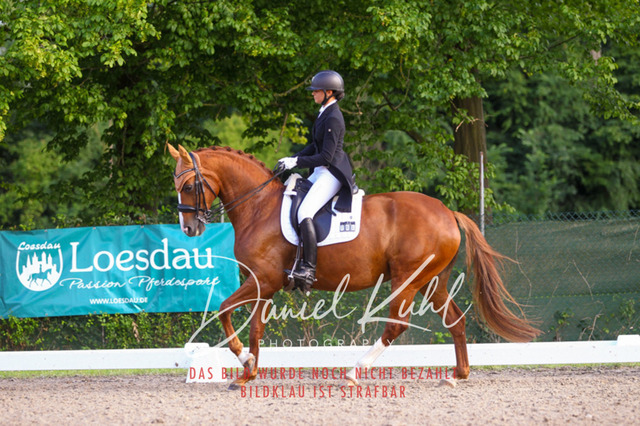 DKP41621 | Turniersportfotografie; Pferdefotografie; Dressurfotografie