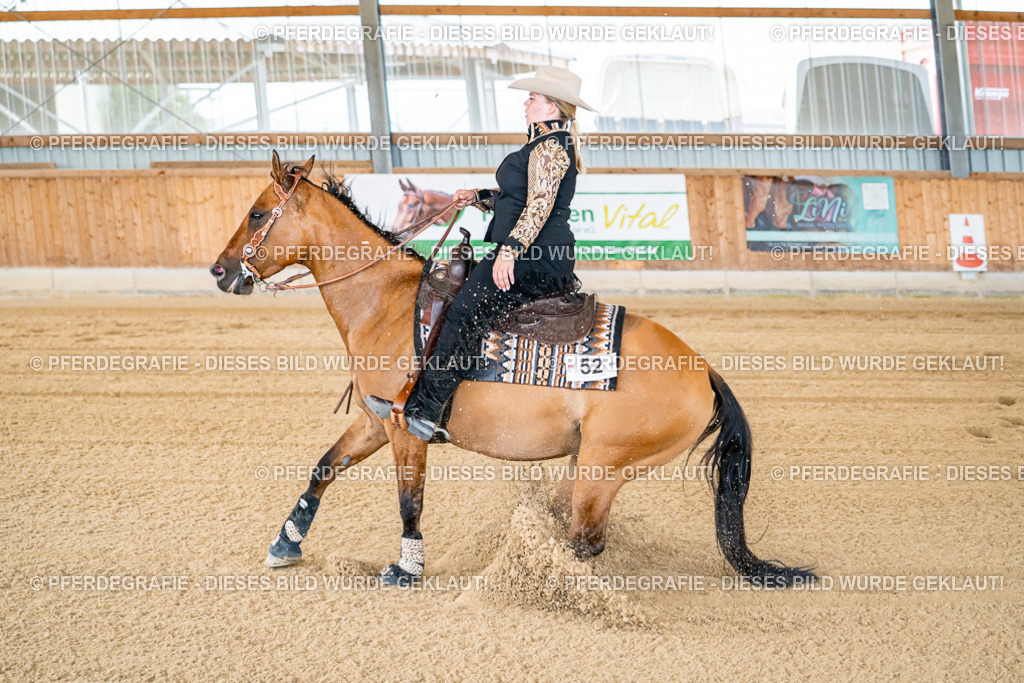 DSC05421 | Pferdegrafie