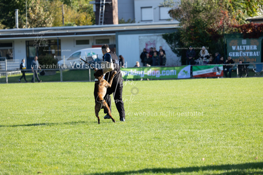 _16A5013 | Einzigartige Fotos von Hunden & Menschen –Actionfotos, Portraits, Vereinsaufnahmen & Paarshootings – authentisch, lebendig & mit Herz.