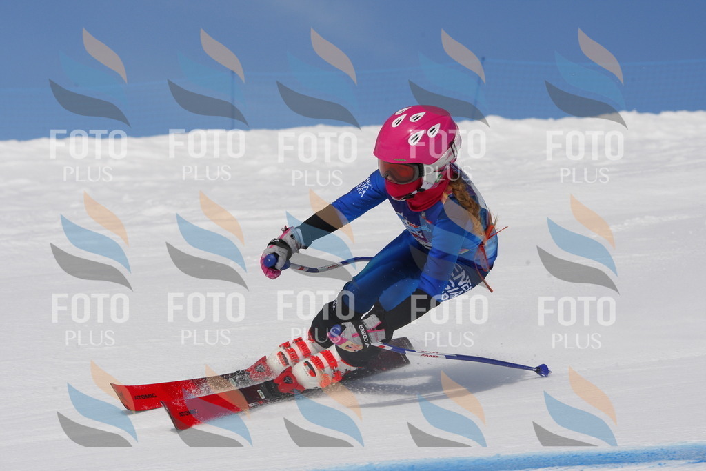 _W1G0374 | holidayphoto