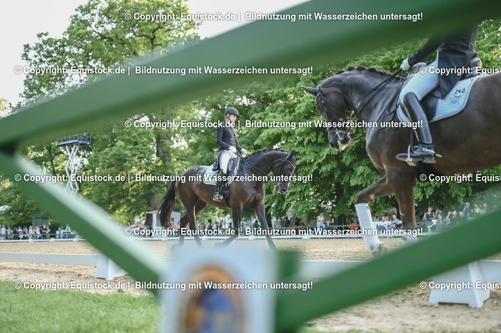 D78_3824 | equistock