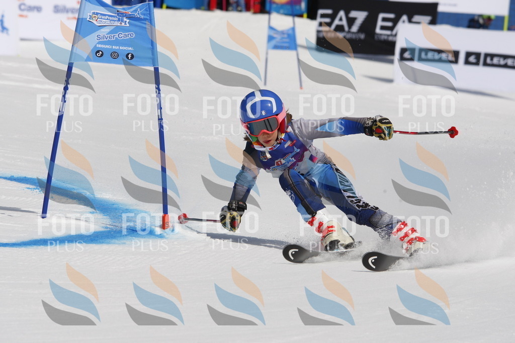 _W1G0053 | holidayphoto