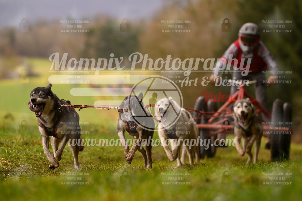 MompixPhotography_2SSTSSBW_2025_SO_Kart-36 | PayLife