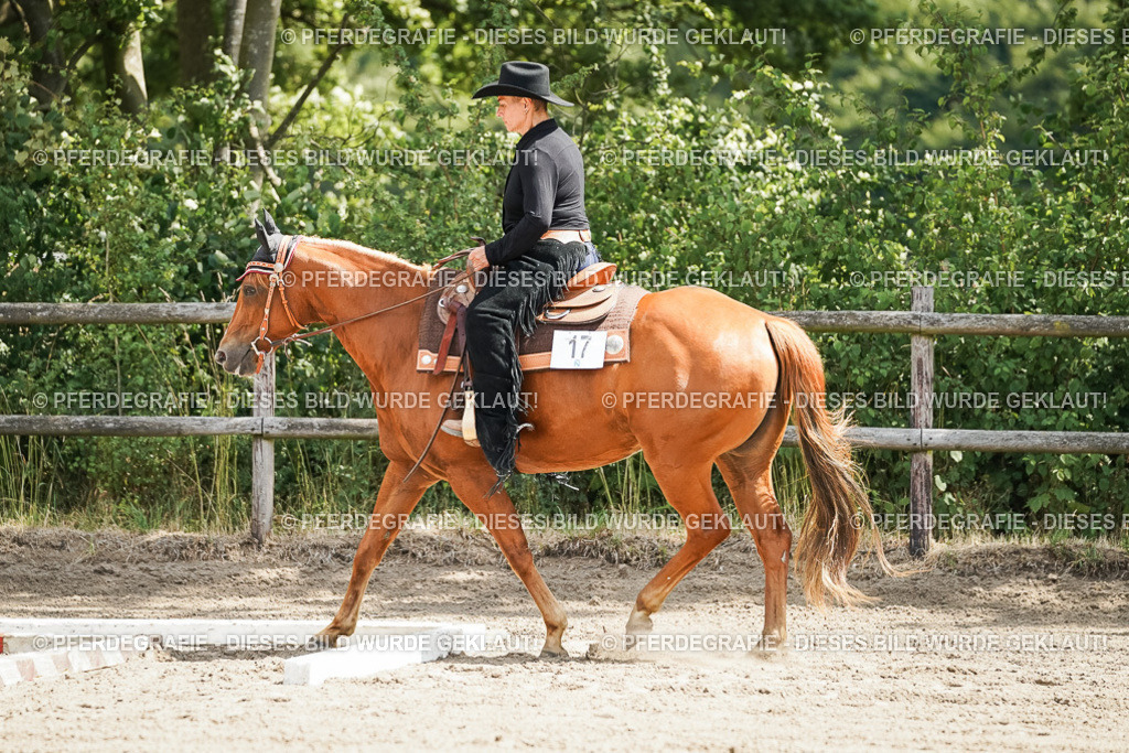 DSC06087 | Pferdegrafie