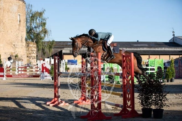 2B4A0800 | pixelfaenger - Realisiert mit Pictrs.com