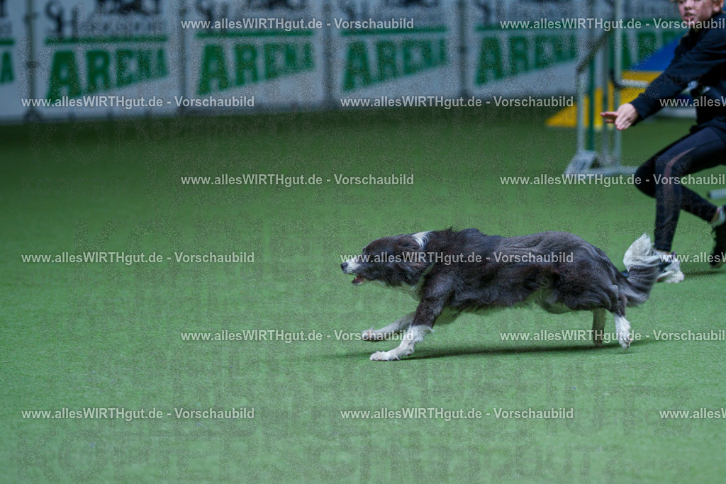 @allesWIRTHgut_Tierfotografie - www.allesWIRTHgut.de - 2604251241-7R502539 | Professionelle Tierfotografie in Mönchengladbach von Daniel Wirth (allesWIRTHgut). Liebevolle & natürliche Bilder von Hunden & Katzen für unvergessliche Erinnerungen.