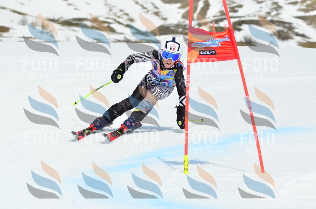 _ELE2597 | holidayphoto