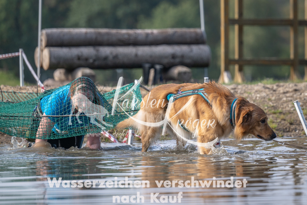 1136_ZZ93497 | kk-dogfotos