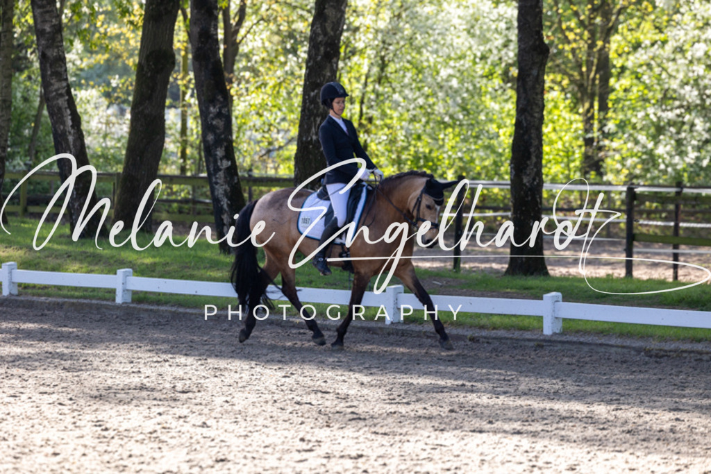 7I8A7468 | melanie-engelhardt-photography - Realisiert mit Pictrs.com