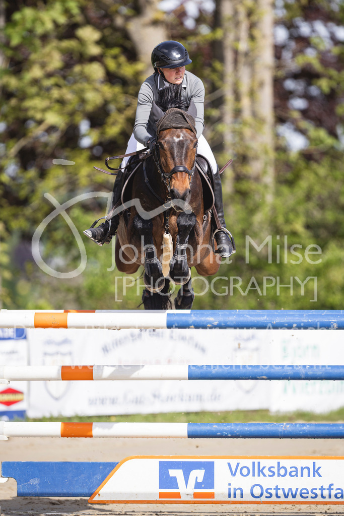 260503_Spenge_7_M2-Spr-m-steig-Anf-739 | Deine schönsten Turniermomente als professionelle Fotos! Entdecke hochwertige Pferdesport-Fotografie im Online-Shop. Jetzt Fotos finden & bestellen!