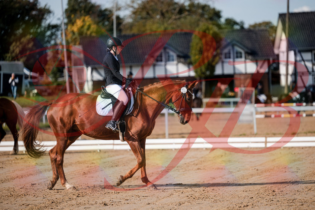 2026_10_03_Siefer-Hof_114127_Z63_22344490 | Professionelle Reitsport-, Turnier- und Eventfotografie von Robert Broda. Galerien mit ausgewählten und bearbeiteten Bildern direkt online ansehen und bestellen.