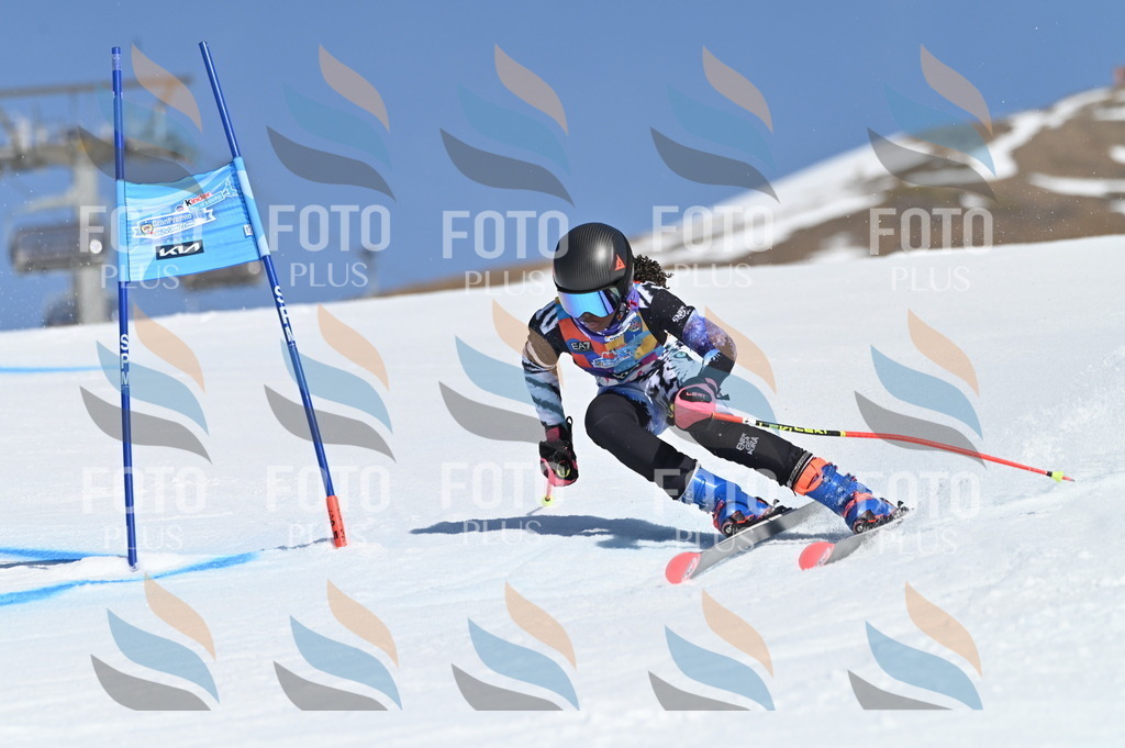 BGV_8608 | holidayphoto