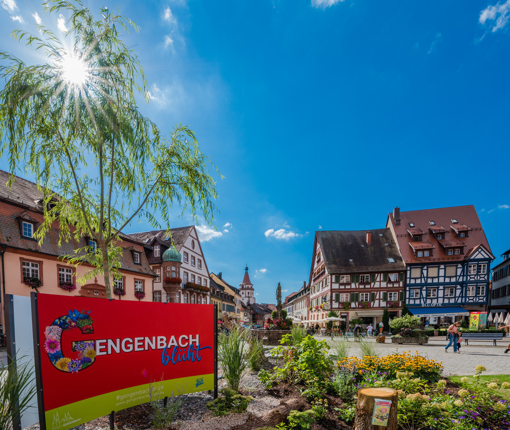 Fachwerk in Gengenbach | Fachwerkhäuser in der Gengenbacher Altstadt - Realisiert mit Pictrs.com