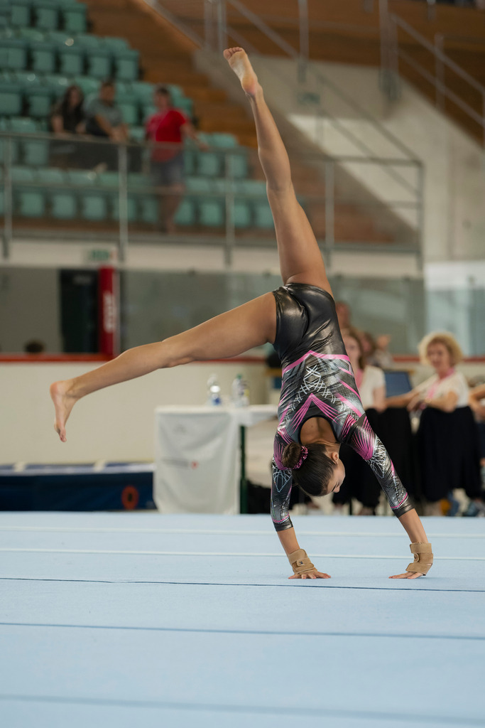 _NZ91512_DxO-1 | photoluigi