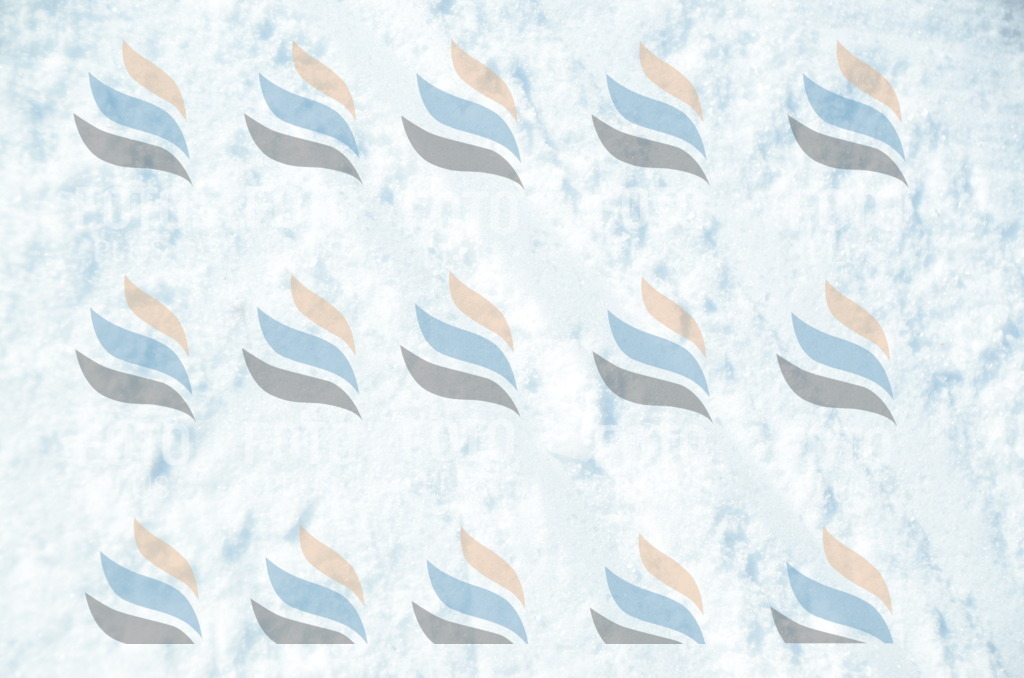 C6193 | holidayphoto